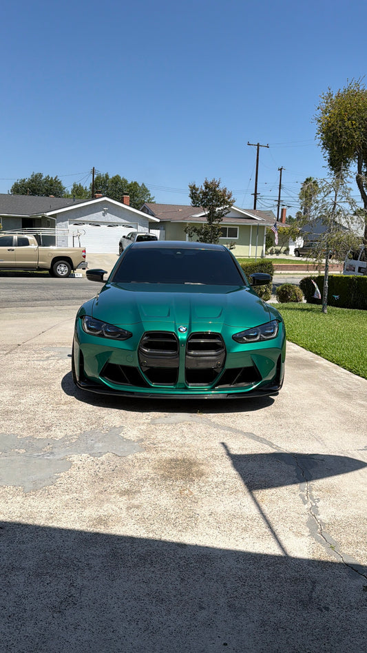 N Style Carbon Fiber Grille Los Reyes Performance