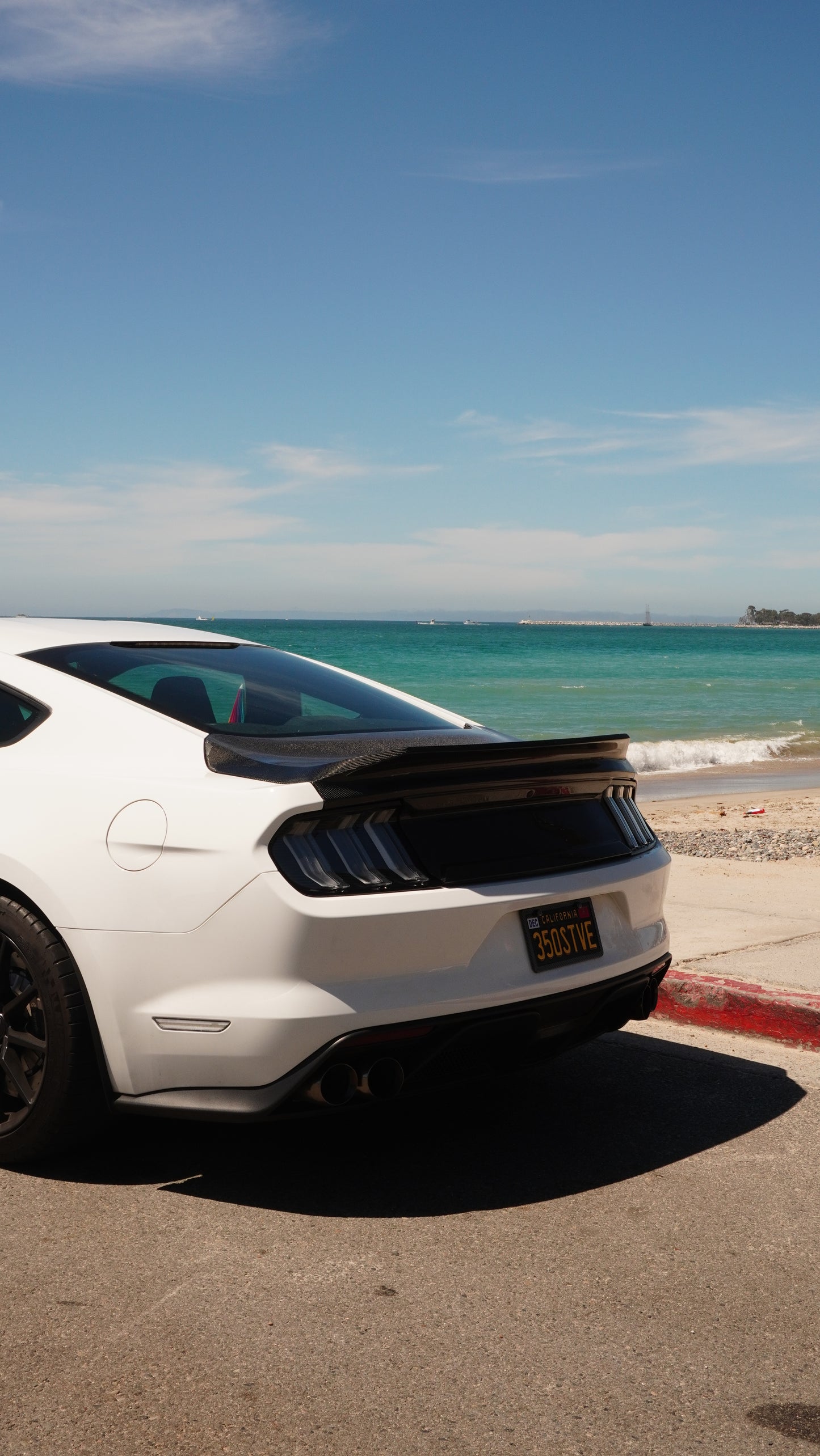 Ducktail V2 Carbon Fiber Trunk | Mustang 15-23 GT/GT350/GT500 Los Reyes Performance