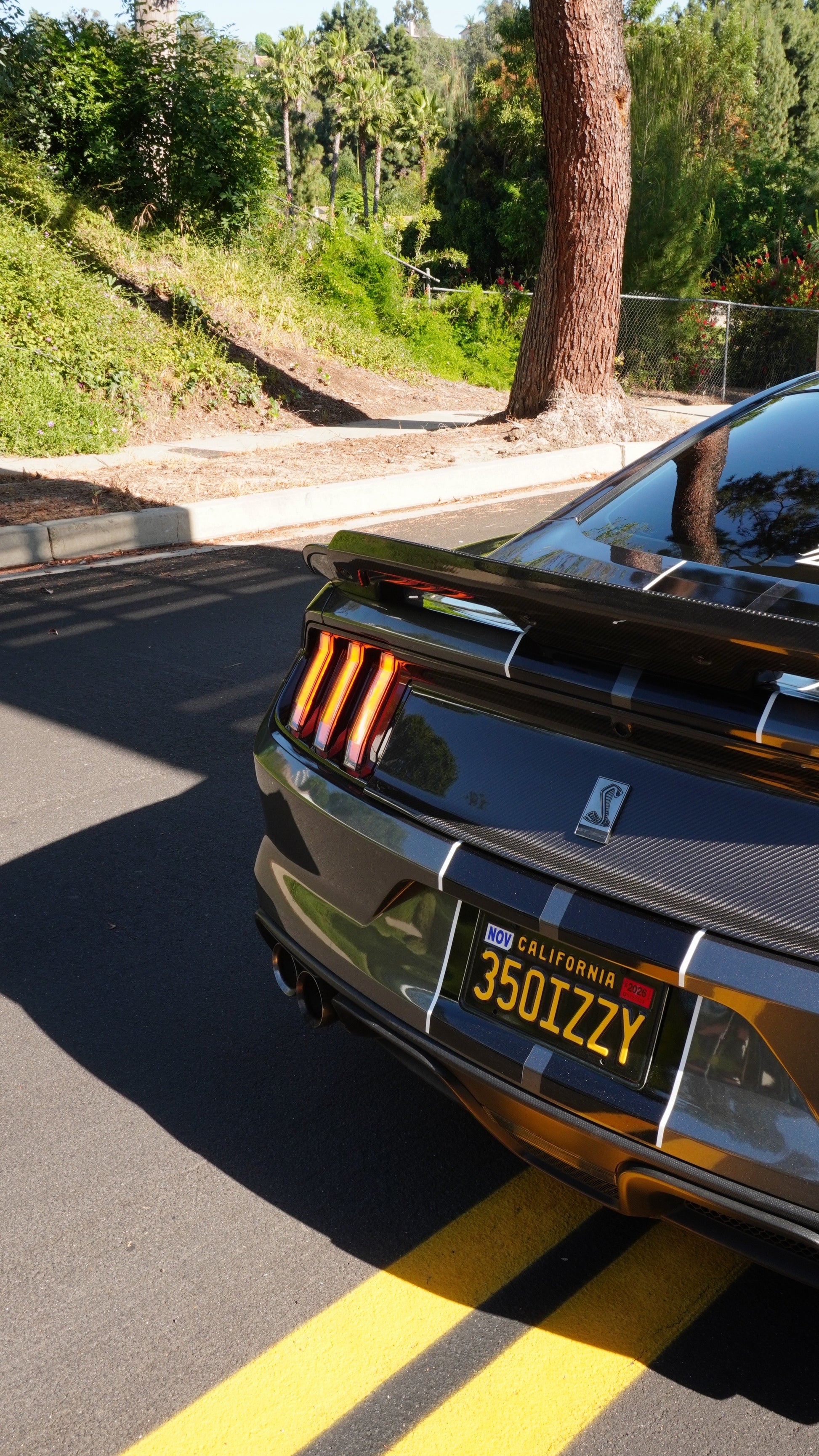 Ford Mustang S550 Carbon Fiber Decklid, Los Reyes Performance