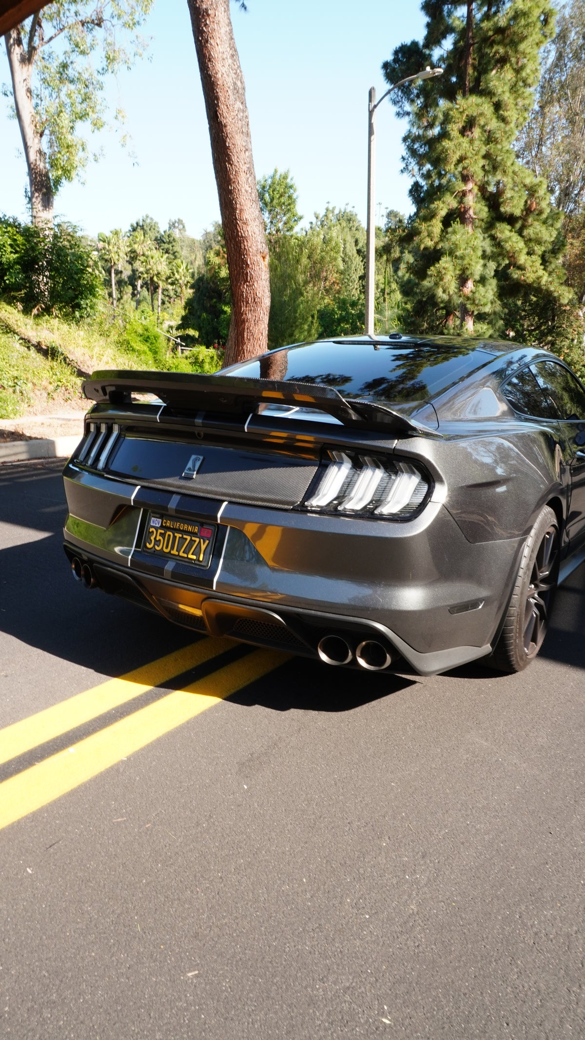Ford Mustang S550 Carbon Fiber Decklid, Los Reyes Performance