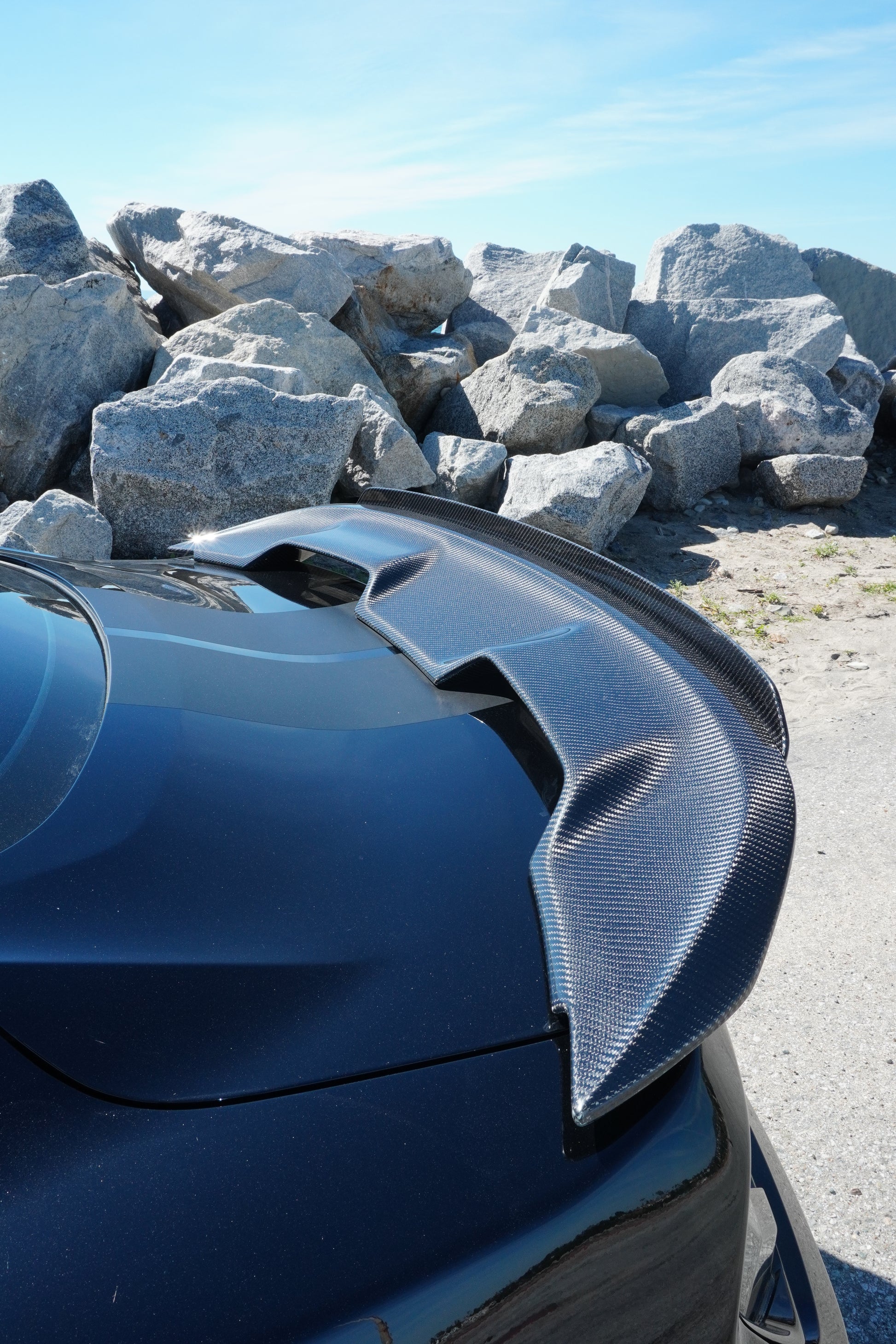 GT500 Style Carbon Fiber Wing With Lip| Ford Mustang GT/GT350/GT500 Los Reyes Performance