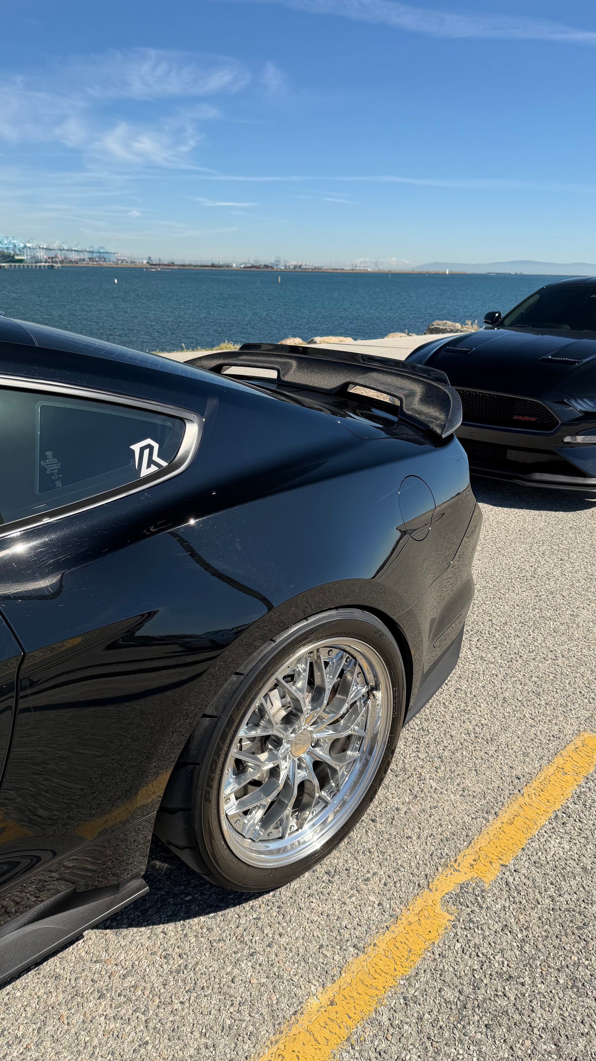 GT500 Style Carbon Fiber Wing With Lip| Ford Mustang GT/GT350/GT500 Los Reyes Performance