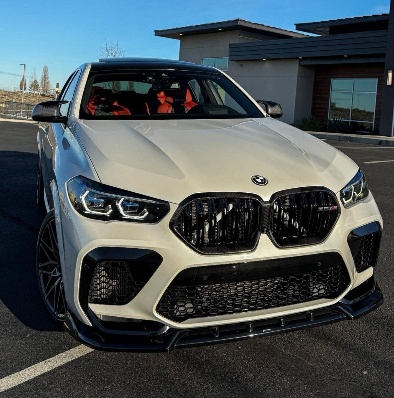 Carbon Fiber W/ Gloss Black Dual Slat Grille  - BMW F96 X6M & G06 X6 Los Reyes Performance
